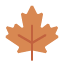 Fall