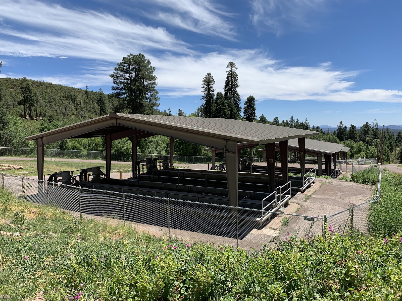 Tonto Creek Fish Hatchery