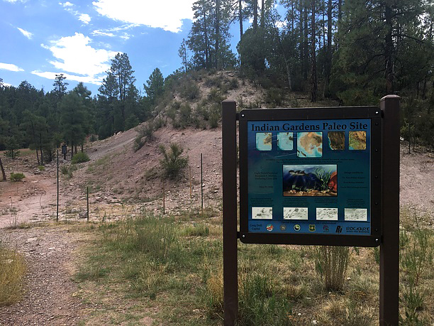 Indian Gardens Paleo Site