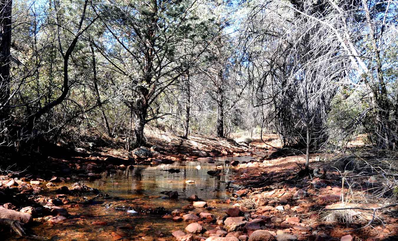 Cypress Trail - Payson