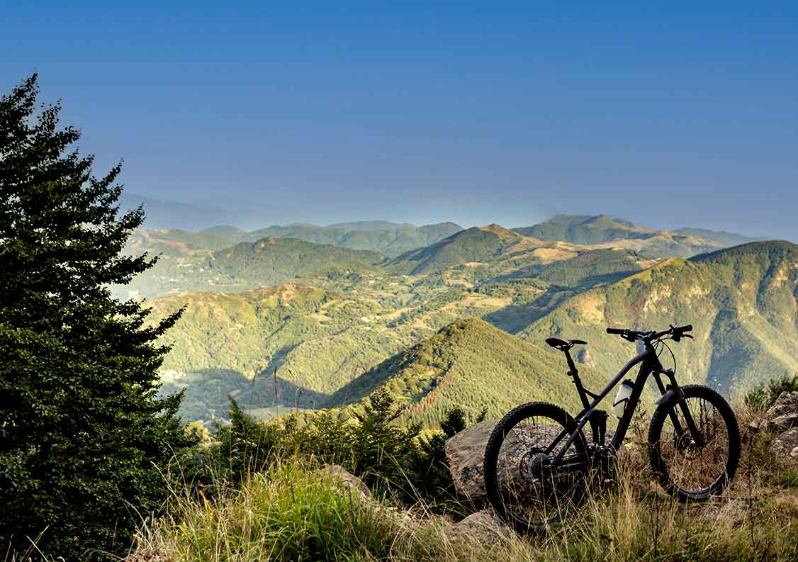 Pineview Trail - Payson