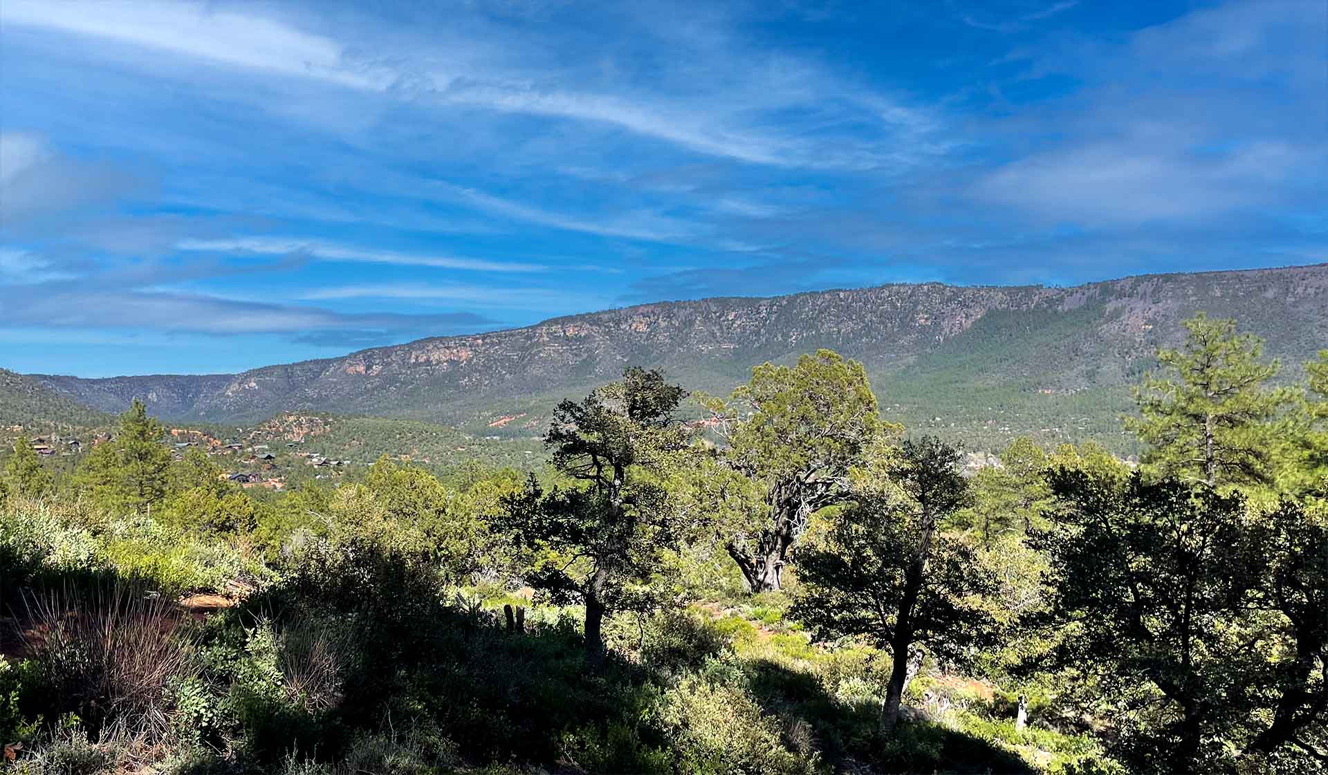 Pine-Strawberry Trail