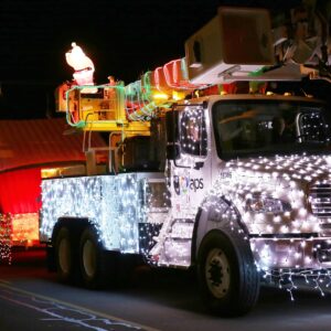 Winter Wonderland & Electric Light Parade