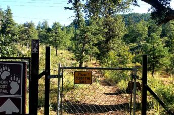 Bearfoot Trail - Payson