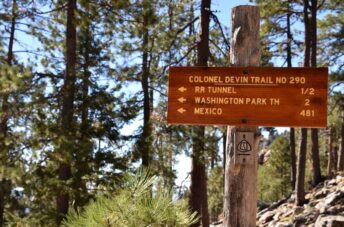 Colonel Devin Trail - Payson