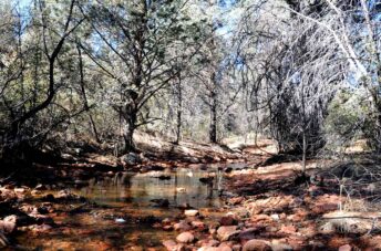 Cypress Trail - Payson