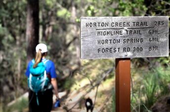 Horton Creek Trail