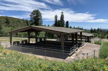 Tonto Creek Fish Hatchery